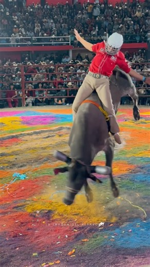 LA LEY DE LA SELVA Y EL MUGRES DEL MOLINO BRINDARON UN GRAN ESPECTÁCULO 🔥🔝