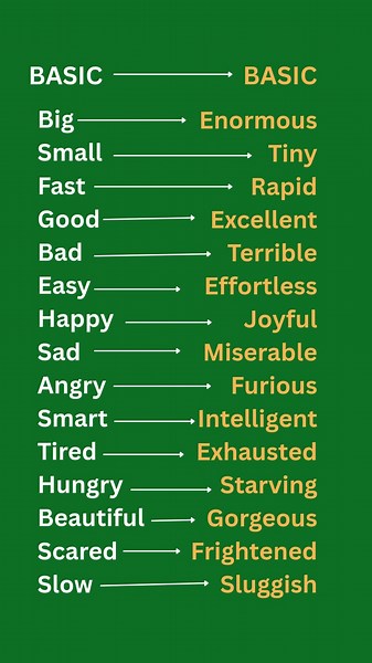 Basic to advanced English words.#learnenglish