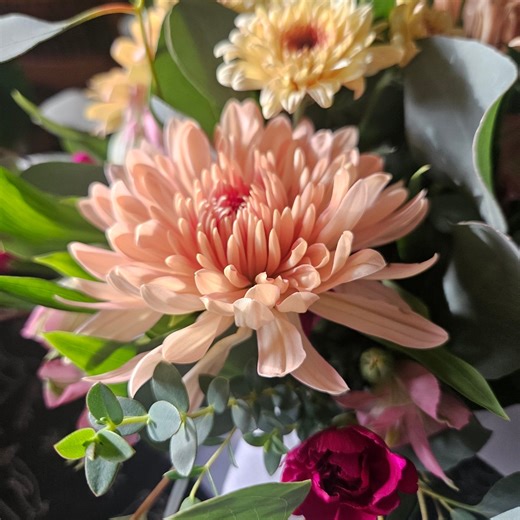 Sage and Dahlia | Lewiston ID