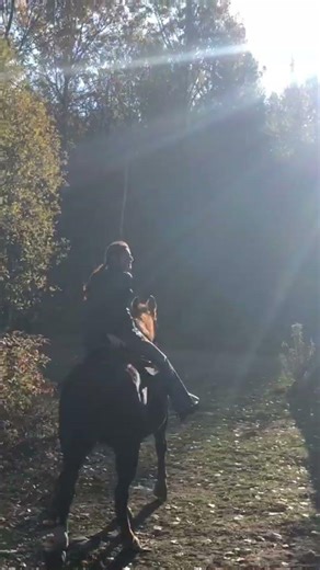 Évasion sauvage chez Kanatha-Aki