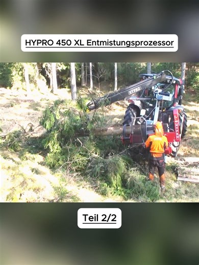 Sustainable Forestry Practices for Biodiversity