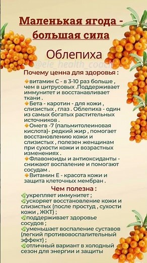 Как использовать облепиху ⤵️⤵️