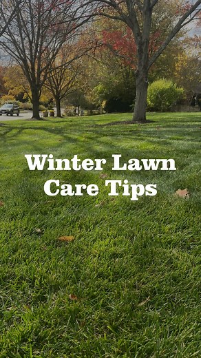 Lawn care matters year-round—even when it snows! ❄️ In our latest video, we’re sharing a few simple ways to protect your lawn during the colder months and set it up for a faster green-up come spring. Check it out and keep these tips in mind as winter settles in! #greenlawnfertilizing #winterlawncare #lawncaretips #diy | Green Lawn Fertilizing | Facebook