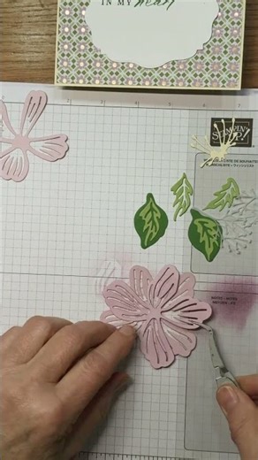 Stampin Up//Simply Beautiful//Beautifully Celebrated//Jan-Apr 2026 Mini//Lovely & Beautiful//#Shorts