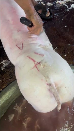 How to Prepare Pork Skin | Clean & Easy Method