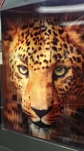 3D lenticular with Mimaki UV call PDS Equipment for more info