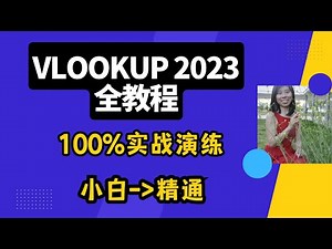 VLOOKUP 2023 全教程 100%实战演练 从小白到精通 #excelvlookup #exceltutorial #excelformula #excel #exceltips