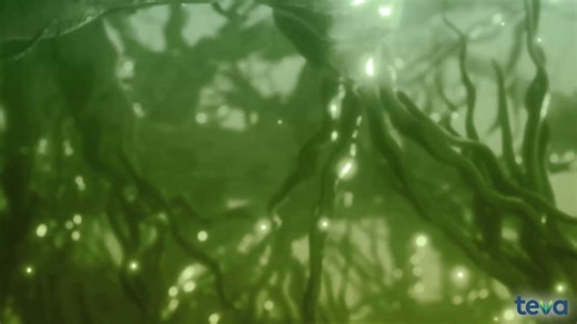 2.1K views · 17 reactions | It's Mental Health Awareness Month, and we're #PavingPathways in the field. Today, we look at the ways in which misconceptions about schizophrenia and its treatment can create barriers to care. Teva is committed to spreading awareness and addressing misinformation in support of those living with the condition. Learn more about how we can support those living with schizophrenia: https://ow.ly/674z50X6Txc | Teva Pharmaceutical Industries Ltd. | Facebook