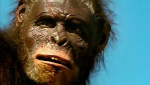 1 Walking with Cavemen (Prehistoric Earth Version) Episode 1