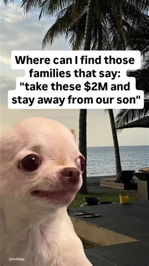 Funny Evil Dog Memes That Will Make You Laugh