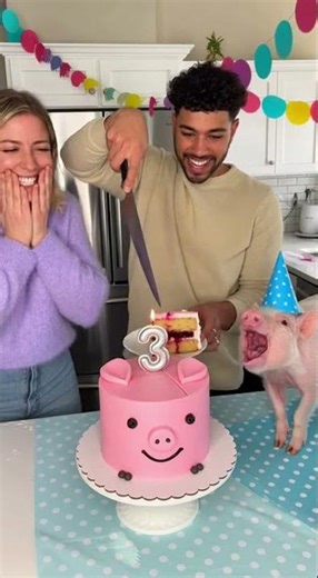 Piglet Panics at Birthday Cake Twin!