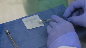 Lumbar Intrathecal Injection in Adult and Neonatal Mice - Watch Related Videos