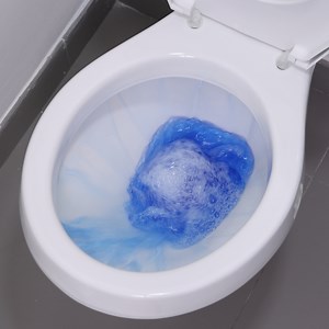 They asked me why my bathroom was so fragrant Look at the Secret! | Too Yummy
