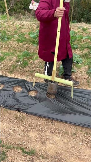 Self-made tool - vegetable garden mulch perforation machine