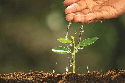 The foundations of sustainable farming