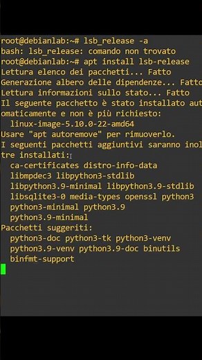 Fix Lsb_release Command Not Found Debian 11 #fixed #debian11 #solved