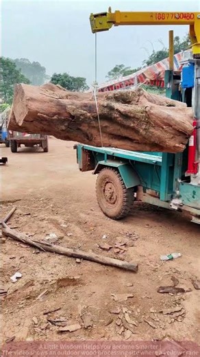 Monster Log Lifted by Crane, Transport Scene in Action!