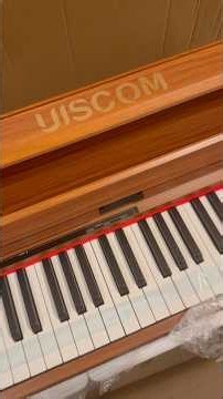 UISCOM 88-Key Weighted Digital Piano Unboxing, Setup & First Impressions