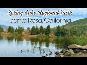 Spring Lake Regional Park|Santa Rosa, California