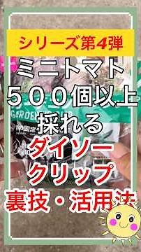 🍀その小さいクリップ捨てないで！🌸ダイソー小クリップ