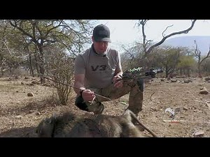 Amazing bow shot on BIG BABOON!