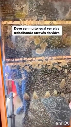 Faria na sua casa ? #dicas #tour #alerta #polemica #perigo #viralizar #viral #meme #memes