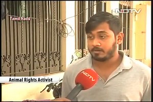 Medical Students In Tamil Nadu Torture, Kill Monkey On Campus, 4 Suspended |