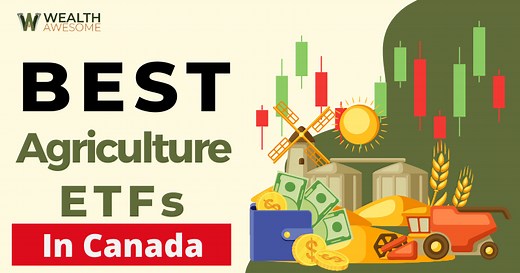 5 Best Agriculture ETFs in Canada (Dec 2025)
