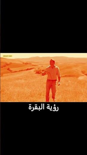 كيف ترى الأبقار ؟ - رؤية الأبقار - غرائب عالم الحيوان #shorts
