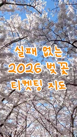 실패 없는 벚꽃 데이트를 위한 2026 개화 지도 🗺️ 2026 벚꽃 개화시기
