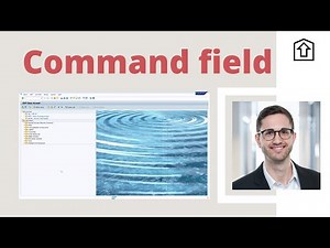 Valuable Tips and Tricks for the Command Field in SAP ERP and SAP S/4HANA