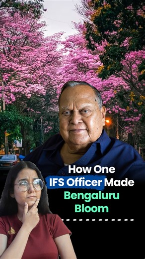 That pink paradise on your feed? It’s not a fluke—it’s a 40-year-old legacy. 🌸 In the 80s, while concrete rose, IFS officer S.G. Neginhal fought back. He didn't just plant trees; he engineered a forest. From bamboo guards to 1.5 million saplings, he turned Bengaluru into the Garden City one Tabebuia rosea at a time. Should every Indian city adopt this model? Comment below! #Bengaluru #PinkBloom #UrbanForestry #GardenCity [Pink Bloom in Bengaluru, S.G. Neginhal Urban Forestry, Tabebuia Rosea Ben