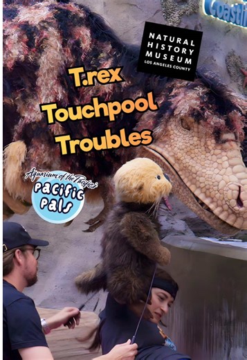 Explore Touch Pools at the Aquarium of the Pacific