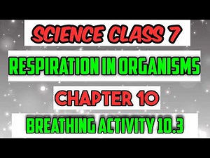 Activity 10.3 - Science Class 7 Chapter 10