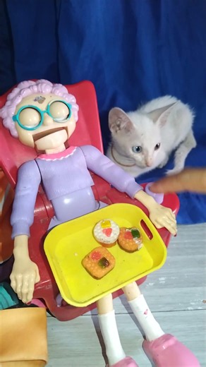 🥰 two different color eyes of white cat and Granny asmr #asmr #granny #trending #viral #shorts
