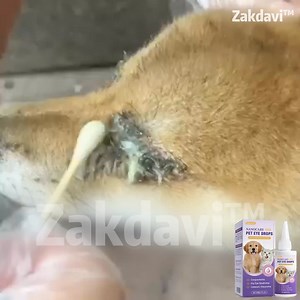 🐶 Ever looked into your dog’s eyes and noticed they’re not as bright as before? It breaks your heart — the redness, the tears, the cloudiness that wasn’t there yesterday. Now there’s a gentle, vet-trusted way to bring back that sparkle — no pain, no harsh chemicals. ✅ Soothes redness, dryness & irritation ✅ Helps clear cloudy eyes & tear stains ✅ Supports long-term eye health naturally ✅ Safe for all breeds, all ages — even seniors 💛 Thousands of loving dog parents have already seen their pups