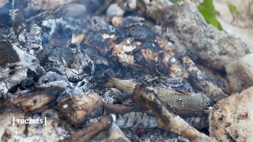 ... ☀️🐠 a beautiful evening at Tuitui 'a Tamale ☀️🐟 .. talk about fresh off the net and into the fire ..❣️🥰 .. 'aho ika 🥰 only in Niutoua..!! 🥰 | Tonga Broadcasting Live Streaming
