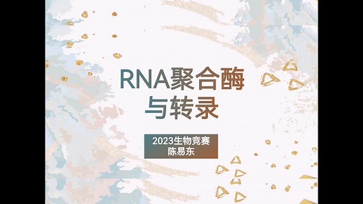 RNA聚合酶与转录机制详细解析