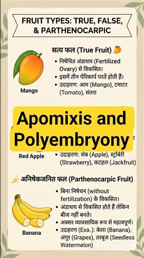 Apomixis and Polyembryony. NCERT Class 12 Biology Chapter 1 Sexual reproduction in flowering plants