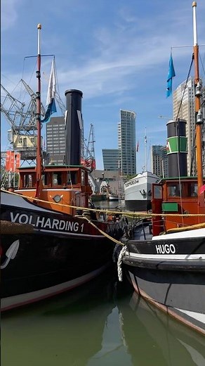 #rotterdam #nederlands #holland #travel #travelguide #rotterdamcity #traveling #traveltips #trip #4k
