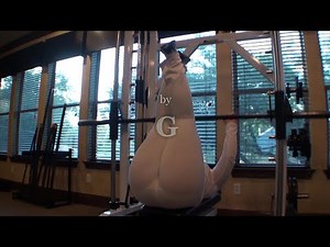 Kai Lee presents The Workout