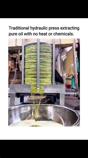 The video demonstrates a traditional mechanical screw press extracting extra virgin olive oil from olive paste layered on fibre mats, a method predating modern hydraulic presses and ensuring no heat or chemicals are used to preserve oil quality. Despite the post's description, the mechanism relies on ratcheting leverage rather than hydraulics, as noted in replies; this cold-pressing technique retains higher levels of antioxidants like polyphenols, supported by peer-reviewed studies showing reduc