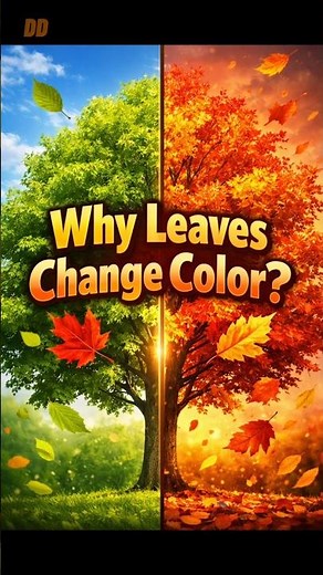 The Science of Why Leaves Change Color