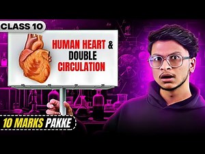 10 marks in 1 video🔥 Human heart & Double circulation class 10- Life Processes🔥