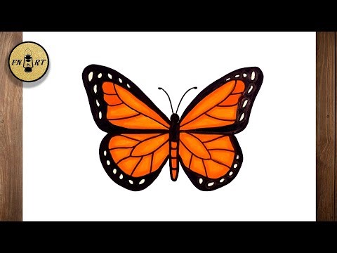 How to draw a monarch butterfly easy step by step