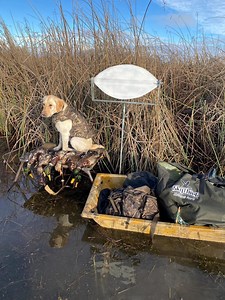 Wind Driven Spinning Wing Duck Decoy Blade Style - Etsy