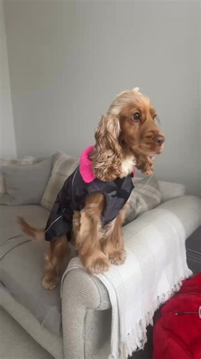 This has to be the best thank you we’ve ever had!! 😍😍 look at Wendy in her new Dryrobe!! Thank you very much for your custom! Myfanwy Axford | Mel Morgan