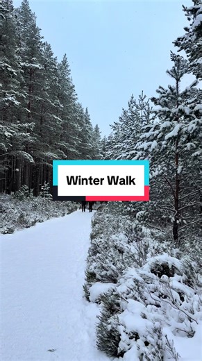 Winter Walks in the Scottish Highlands: Snowy Adventures