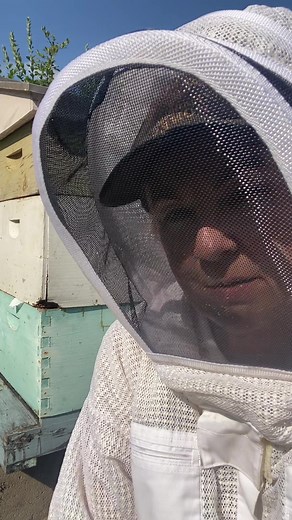 I’ve got beekeeping way that needs to be replaced. How about you? How do you go about replacing your boxes? . #bee #beekeeper #beehive #beekeepersoftiktok #homesteading