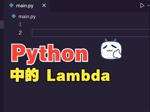 Python 中的 Lambda 方法